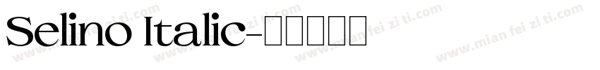 Selino Italic字体转换